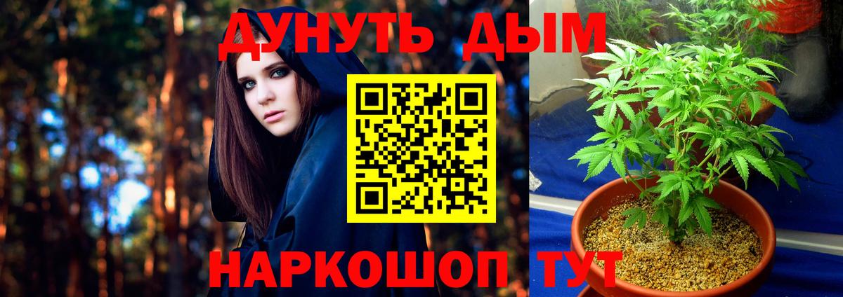Канабис марихуана  Вход с VPN  Конопля Bruce Banner  Гулькевичи 